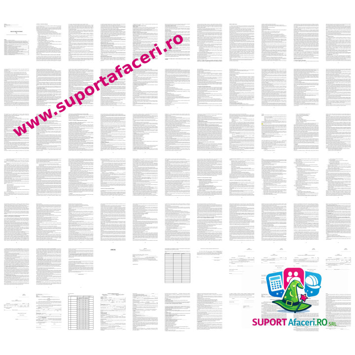 Regulament intern Activităţi ale portalurilor web cod CAEN 6391